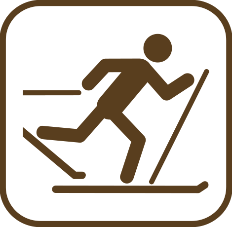 ski